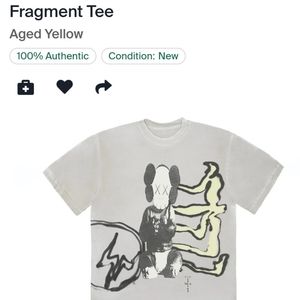 Cactus jack Kaws for Fragment new